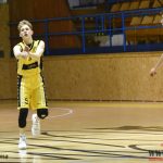 Lokomotiva neměla páru – Sršni útočí na prvenství v základní části