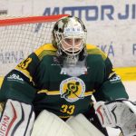 Motor v posledních minutách zvrátil utkání se Vsetínem ve svůj prospěch