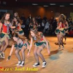 Letecký akrobat Martin Šonka obhájil titul pro nejlepšího sportovce táborského okresu. Fotbalisté FC MAS Táborsko nejlepším kolektivem