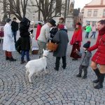 Maškary v Táboře doprovodila živá koza