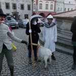 Maškary v Táboře doprovodila živá koza