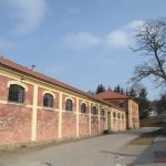Diváky přehlídky plemenných koní potěšil oslík a poutavý doprovodný program