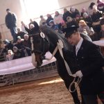 Diváky přehlídky plemenných koní potěšil oslík a poutavý doprovodný program