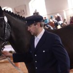 Diváky přehlídky plemenných koní potěšil oslík a poutavý doprovodný program