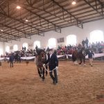 Diváky přehlídky plemenných koní potěšil oslík a poutavý doprovodný program