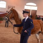 Diváky přehlídky plemenných koní potěšil oslík a poutavý doprovodný program