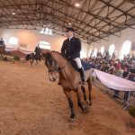 Diváky přehlídky plemenných koní potěšil oslík a poutavý doprovodný program