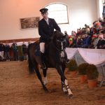 Diváky přehlídky plemenných koní potěšil oslík a poutavý doprovodný program