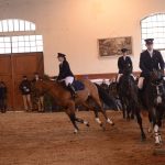 Diváky přehlídky plemenných koní potěšil oslík a poutavý doprovodný program