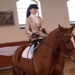 Diváky přehlídky plemenných koní potěšil oslík a poutavý doprovodný program