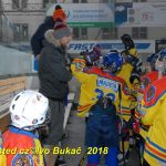 Hokej: Hrstka milevských čtvrťáků ukořistila skalp budějovického Motoru