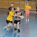Jihočeské házenkářské mládí bojovalo v Milevsku