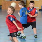 Jihočeské házenkářské mládí bojovalo v Milevsku