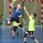 Jihočeské házenkářské mládí bojovalo v Milevsku