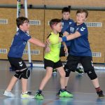 Jihočeské házenkářské mládí bojovalo v Milevsku