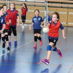 Jihočeské házenkářské mládí bojovalo v Milevsku