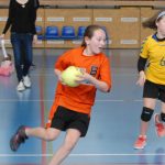 Jihočeské házenkářské mládí bojovalo v Milevsku