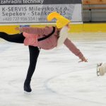 VIDEO: Premiérová lední revue v Milevsku nadchla publikum, další proběhne o Velikonocích v Soběslavi