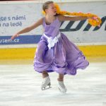 VIDEO: Premiérová lední revue v Milevsku nadchla publikum, další proběhne o Velikonocích v Soběslavi