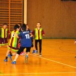 V Budějovicích se střetli mladí házenkáři Lokomotivy, Písku a Milevska