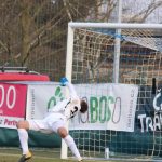 Druholigový nášup Táborska do sítě Sokolova v další fotogalerii