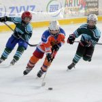 Memoriál Josefa Straky zakončil hokejovou sezonu v Milevsku, z vítězství se radovali Hockey Tigers 55