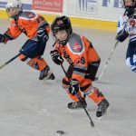 Memoriál Josefa Straky zakončil hokejovou sezonu v Milevsku, z vítězství se radovali Hockey Tigers 55