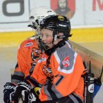 Memoriál Josefa Straky zakončil hokejovou sezonu v Milevsku, z vítězství se radovali Hockey Tigers 55