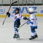 Memoriál Josefa Straky zakončil hokejovou sezonu v Milevsku, z vítězství se radovali Hockey Tigers 55