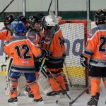 Memoriál Josefa Straky zakončil hokejovou sezonu v Milevsku, z vítězství se radovali Hockey Tigers 55