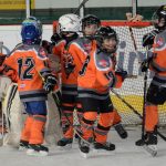 Memoriál Josefa Straky zakončil hokejovou sezonu v Milevsku, z vítězství se radovali Hockey Tigers 55