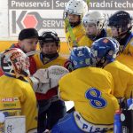 Memoriál Josefa Straky zakončil hokejovou sezonu v Milevsku, z vítězství se radovali Hockey Tigers 55