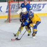 Memoriál Josefa Straky zakončil hokejovou sezonu v Milevsku, z vítězství se radovali Hockey Tigers 55