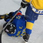 Memoriál Josefa Straky zakončil hokejovou sezonu v Milevsku, z vítězství se radovali Hockey Tigers 55