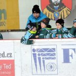 Memoriál Josefa Straky zakončil hokejovou sezonu v Milevsku, z vítězství se radovali Hockey Tigers 55