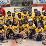 Úplný závěr sezony obstarali v Písku nejmladší hokejisté