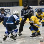 Úplný závěr sezony obstarali v Písku nejmladší hokejisté