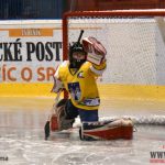 Úplný závěr sezony obstarali v Písku nejmladší hokejisté