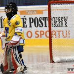 Úplný závěr sezony obstarali v Písku nejmladší hokejisté