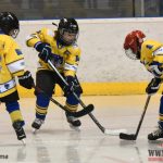 Úplný závěr sezony obstarali v Písku nejmladší hokejisté