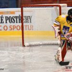 Úplný závěr sezony obstarali v Písku nejmladší hokejisté