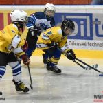 Úplný závěr sezony obstarali v Písku nejmladší hokejisté