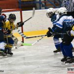 Úplný závěr sezony obstarali v Písku nejmladší hokejisté