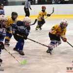 Úplný závěr sezony obstarali v Písku nejmladší hokejisté