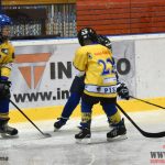 Úplný závěr sezony obstarali v Písku nejmladší hokejisté