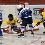 Úplný závěr sezony obstarali v Písku nejmladší hokejisté