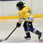 Úplný závěr sezony obstarali v Písku nejmladší hokejisté