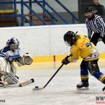 Úplný závěr sezony obstarali v Písku nejmladší hokejisté