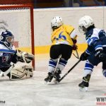 Úplný závěr sezony obstarali v Písku nejmladší hokejisté