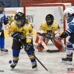 Úplný závěr sezony obstarali v Písku nejmladší hokejisté